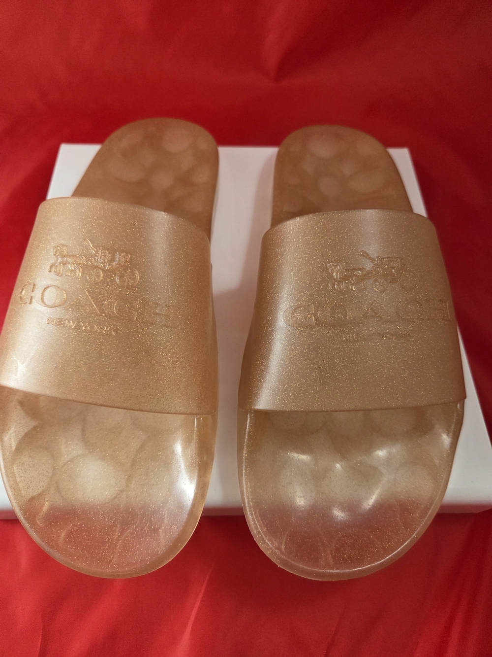 COACH ULYSSA Women’s Gold Slide Sandals